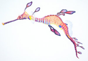 how to draw a seadragon workshop example